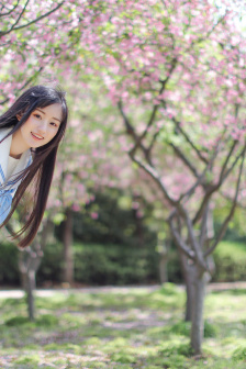 花儿与少年好友记免费观看